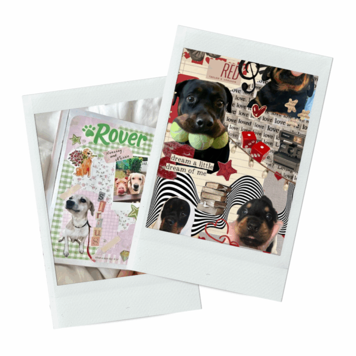 Atelier : Affiche spécial chiens à Arcachon – Image 2